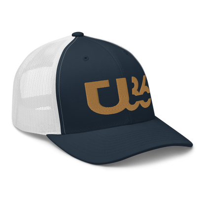 U36 White/Navy/Old Gold HAT