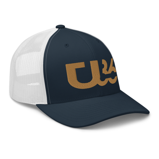 U36 White/Navy/Old Gold HAT